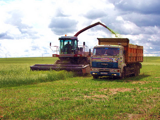 Дубровно, сельское хозяйство, урожай 2011, заготовка кормов, механизатор, трактор, комбайн