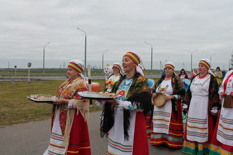 Дубровно, дубровенский, дожинки 2017, встреча