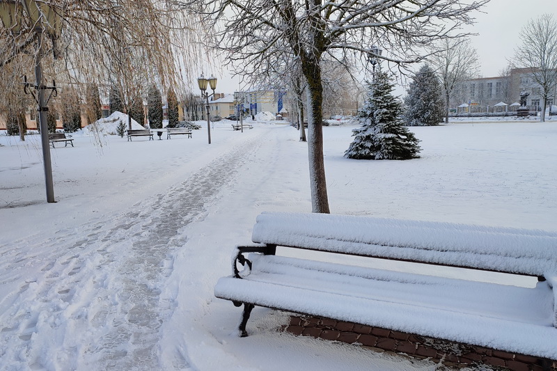 Дубровно, фото, природа, мороз