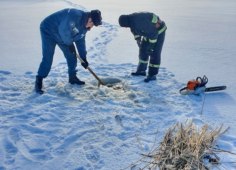 Дубровно, экология, лед, рыба, замор