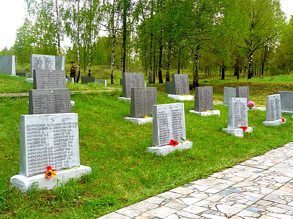 dubrovno_9-maya_den-pobedy_soldat_voyna_veteran_wow_1941-1945_2012_marsh_rylenki45