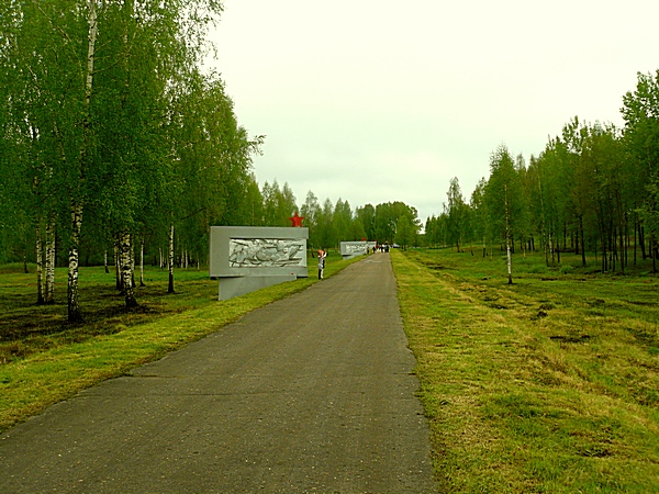 dubrovno_9-maya_den-pobedy_soldat_voyna_veteran_wow_1941-1945_2012_marsh_rylenki5