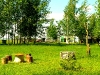 dubrovno_den-medicinskogo-rabotnika_bolnica_vrach_medsestra-18