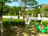 dubrovno_den-medicinskogo-rabotnika_bolnica_vrach_medsestra22