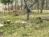 dubrovno_osintorf_svalka_musor-3