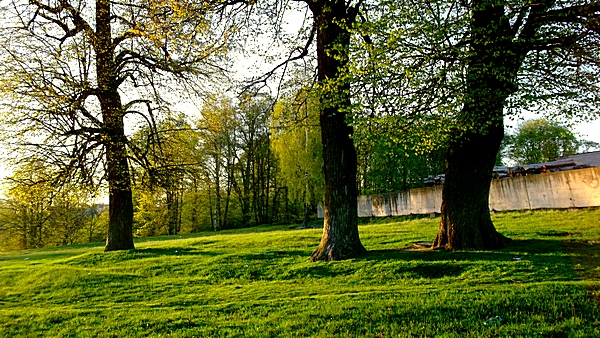 dubrovno_park_lipki_lubomirskiy_musor_svalka_istoriya_krasota_priroda11