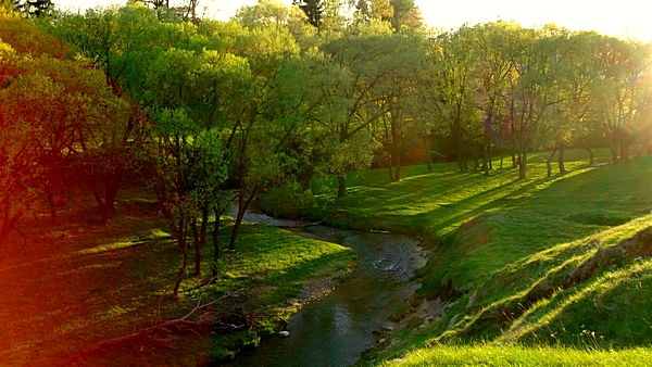 dubrovno_park_lipki_lubomirskiy_musor_svalka_istoriya_krasota_priroda2