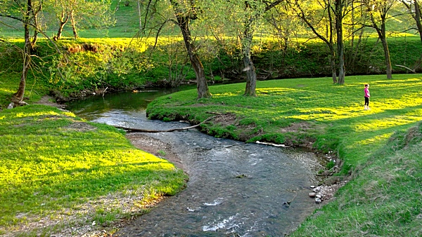 dubrovno_park_lipki_lubomirskiy_musor_svalka_istoriya_krasota_priroda5