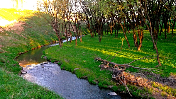 dubrovno_park_lipki_lubomirskiy_musor_svalka_istoriya_krasota_priroda8