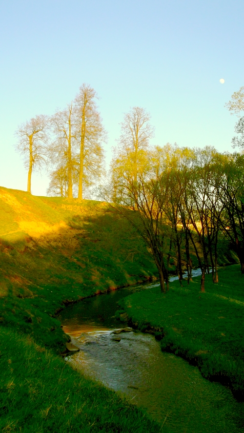dubrovno_park_lipki_lubomirskiy_musor_svalka_istoriya_krasota_priroda9