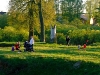 dubrovno_park_lipki_lubomirskiy_musor_svalka_istoriya_krasota_priroda