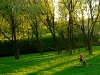 dubrovno_park_lipki_lubomirskiy_musor_svalka_istoriya_krasota_priroda10