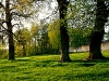 dubrovno_park_lipki_lubomirskiy_musor_svalka_istoriya_krasota_priroda11