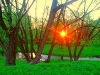 dubrovno_park_lipki_lubomirskiy_musor_svalka_istoriya_krasota_priroda13