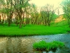 dubrovno_park_lipki_lubomirskiy_musor_svalka_istoriya_krasota_priroda14