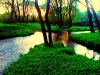 dubrovno_park_lipki_lubomirskiy_musor_svalka_istoriya_krasota_priroda15