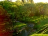 dubrovno_park_lipki_lubomirskiy_musor_svalka_istoriya_krasota_priroda2