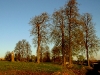 dubrovno_park_lipki_lubomirskiy_musor_svalka_istoriya_krasota_priroda3