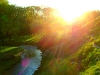 dubrovno_park_lipki_lubomirskiy_musor_svalka_istoriya_krasota_priroda4