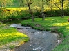 dubrovno_park_lipki_lubomirskiy_musor_svalka_istoriya_krasota_priroda5