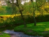 dubrovno_park_lipki_lubomirskiy_musor_svalka_istoriya_krasota_priroda6