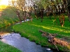 dubrovno_park_lipki_lubomirskiy_musor_svalka_istoriya_krasota_priroda8