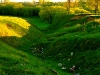 dubrovno_park_lipki_lubomirskiy_musor_svalka_istoriya3