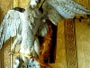 dubrovno_bayevo_dizayn_landshaft_blagoustroystvo_dankevich-14