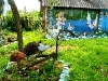 dubrovno_bayevo_dizayn_landshaft_blagoustroystvo_dankevich-6