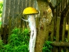 dubrovno_bayevo_dizayn_landshaft_blagoustroystvo_dankevich-9