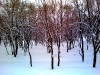 dubrovno_vlad-ternovcev-26