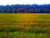 dubrovno_vlad-ternovcev-34