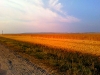 dubrovno_vlad-ternovcev-40