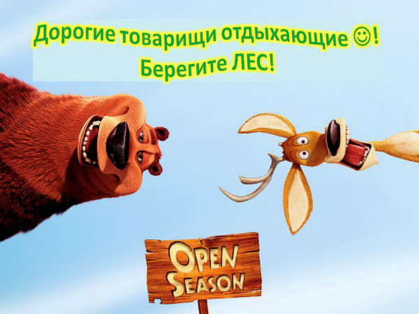 Дубровно, МЧС, Беларусь, пожар, спасатель, лес, правила пожарной безопасности