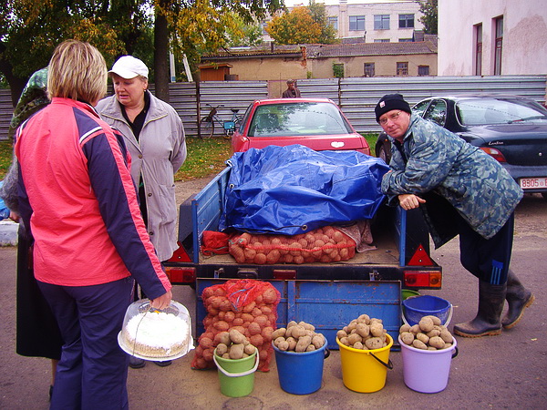 Дубровно, ярмарка, осень, урожай, торговля, люди