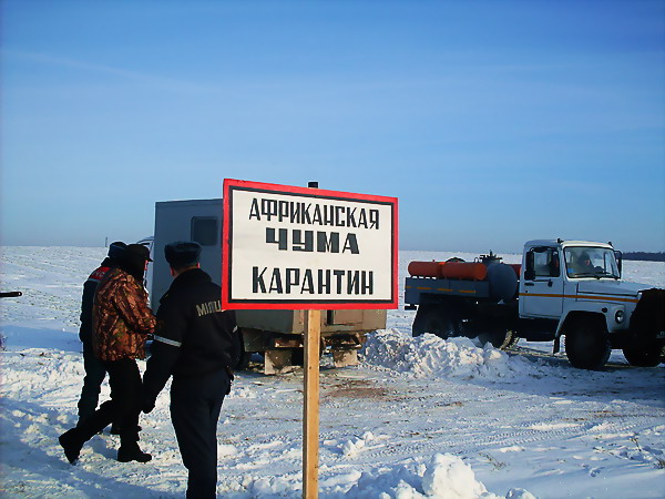 Дубровно, Дубровенский район, Беларусь, Россия, африканская чума, болезнь, скот, свинья, эпидемия, карантин, учения, республика, врач, мчс, спасатель, люди, учеба