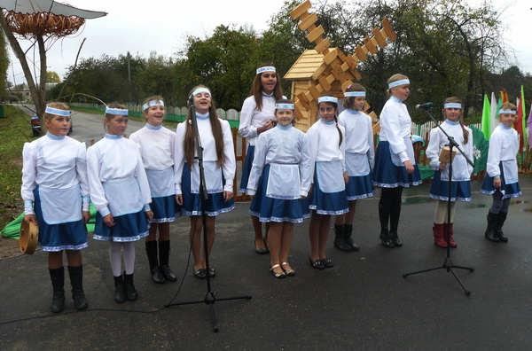 Дубровно, Дубровенский район, Осинторф, 2012