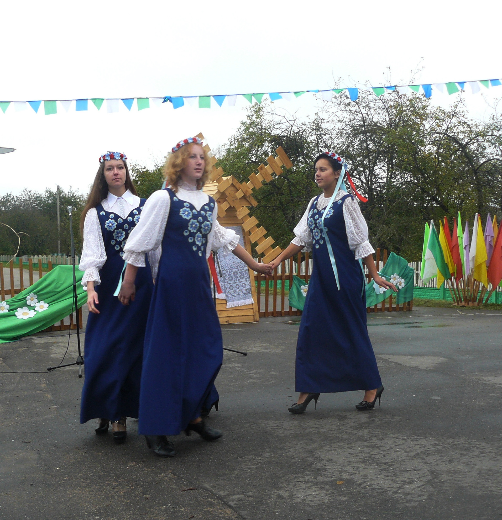Дубровно, Дубровенский район, Осинторф, 2012