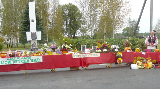 Дубровно, Дубровенский район, Осинторф, 2012