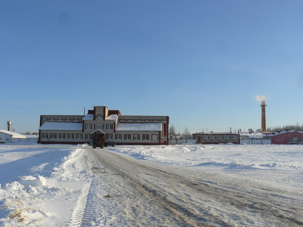 Дубровно,Дубровенский,Оршанский КХП, мясо, свиноматки, планы, новый год