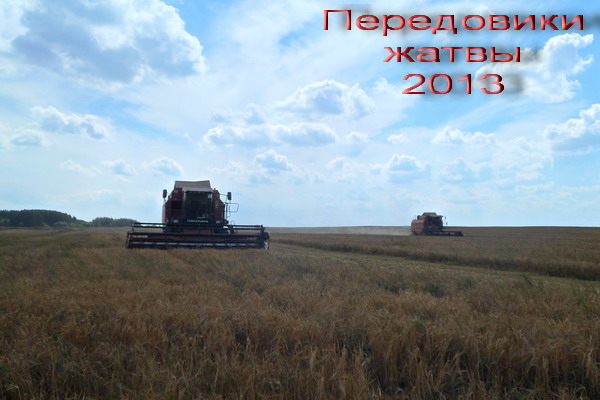 Дубровно,Дубровенский, урожай, труд, почет