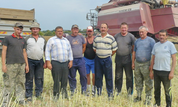 Дубровно,Дубровенский,урожай,хлеб,рекорд,технологии
