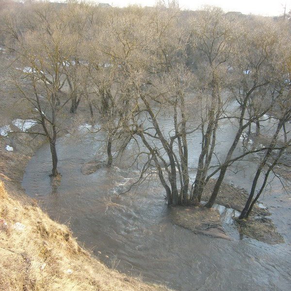 Дубровно,конкурс,природа
