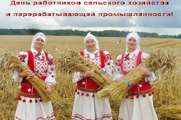 Дубровно,Дубровенский,итоги, урожай,планы, анализ,деревня