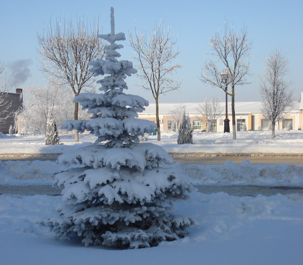 Дубровно,Дубровенский,новый год,покупки,штрафы