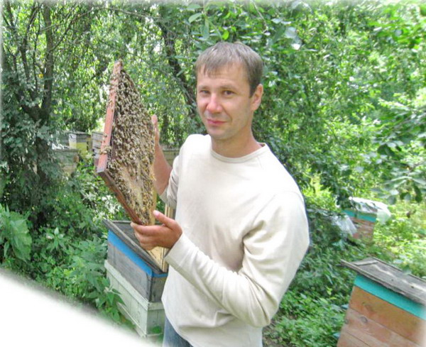 Дубровно,Дубровенский,пчёлы,мёд,питомник