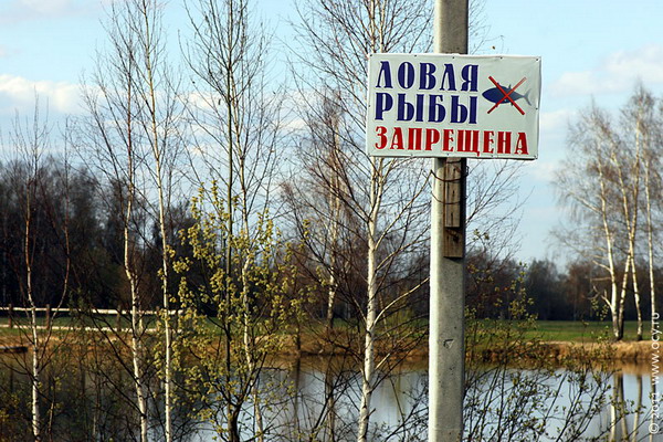 Дубровно, дубровенский, рыба