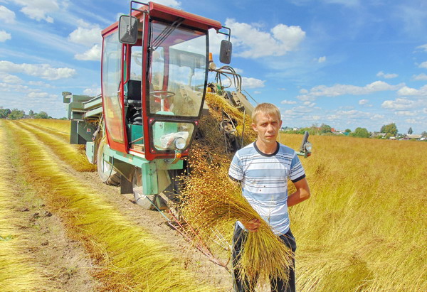 Дубровно, дубровенский, лён
