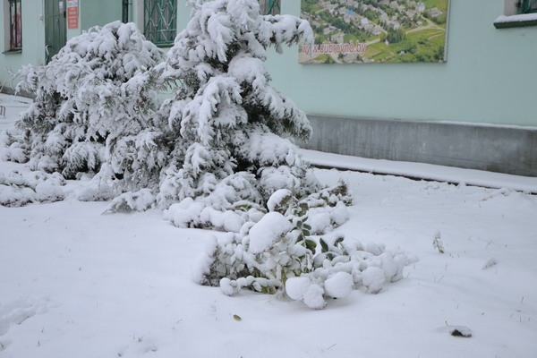 Дубровно, дубровенский, зима, осень, снег