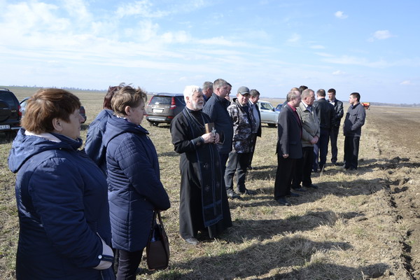 Дубровно, дубровенский, засевки, посевная